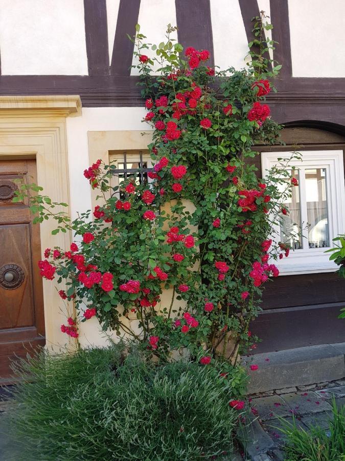 Fewo Niedere Muehlwiese Appartement Großschönau Buitenkant foto