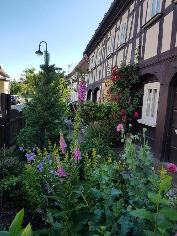 Fewo Niedere Muehlwiese Appartement Großschönau Buitenkant foto