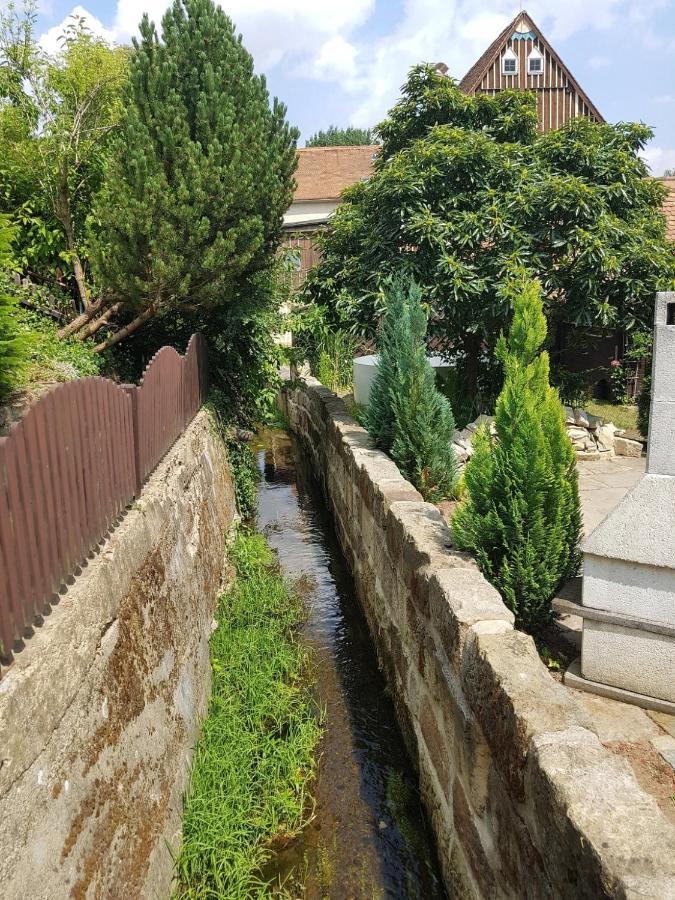 Fewo Niedere Muehlwiese Appartement Großschönau Buitenkant foto